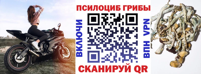 Купить закладки  Батайск  Псилоцибиновые грибы GOLDEN TEACHER 